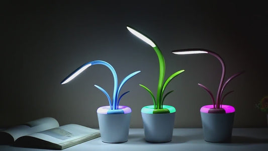 Modern Desk Lights
